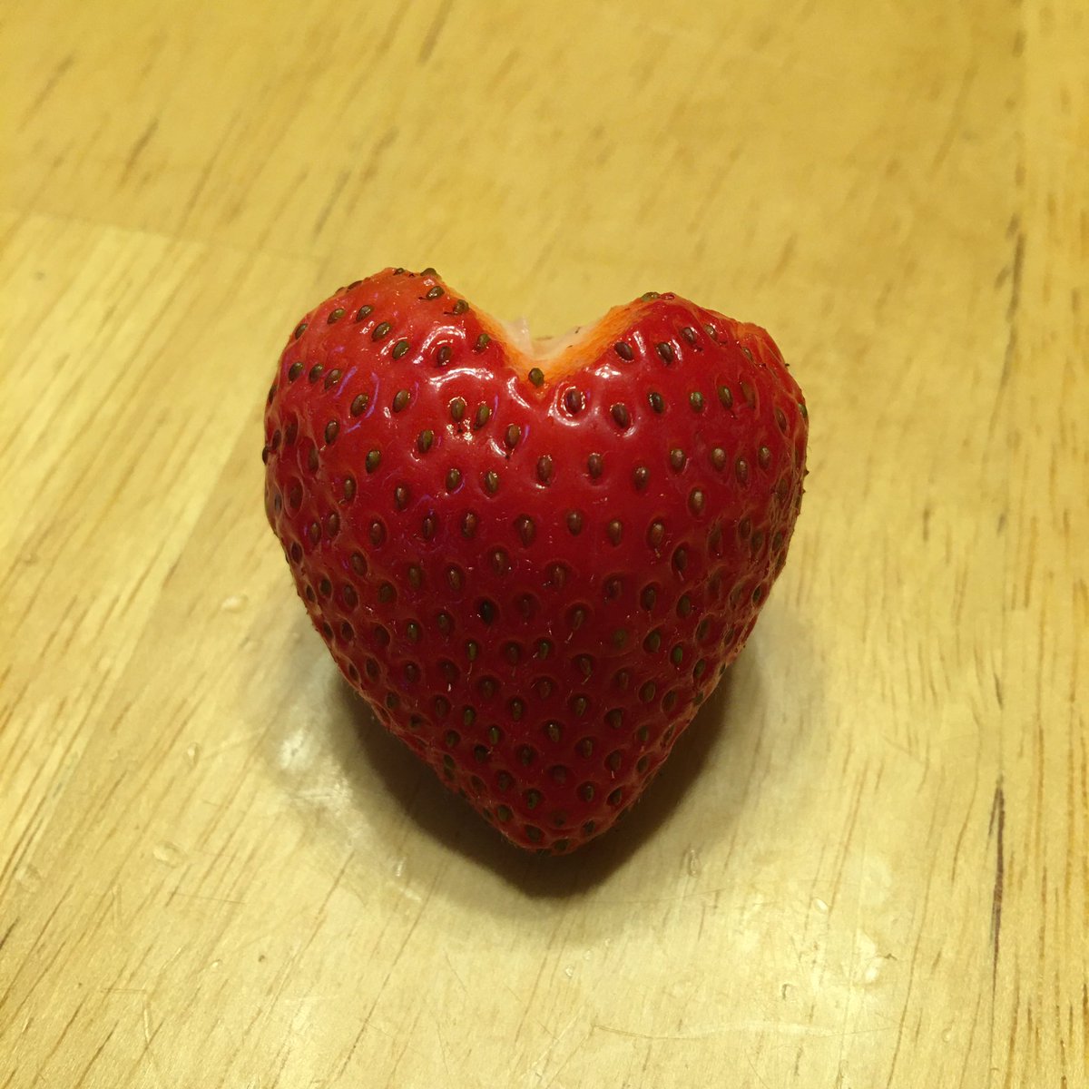 For anyone who needs this today 🍓❤️

michaeljamesemberger.com/dear-survivor

#strawberryheart #youareloved #youarenotalone #survivors