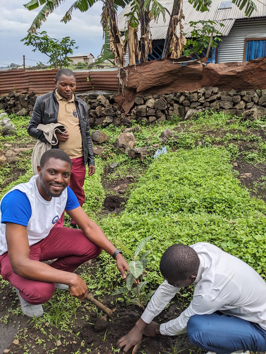 Vendredi le 20 Septembre, une grande activité de reboisement s'est tenue à Goma entre les jeunes de #Dyjap et les élèves du C.S. Elimu-Bora à Goma, toujours dans le cadre de notre projet " lutte contre l'extrémisme violent et la protection de l'environnement"👌👌 <a href="/4youthdialogue/">Great Lakes Youth Network for Dialogue and Peace</a>