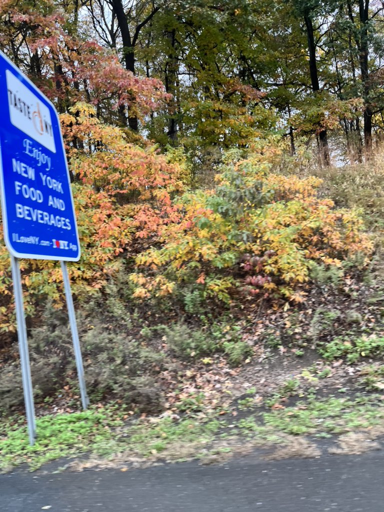 Why thank you I think we will