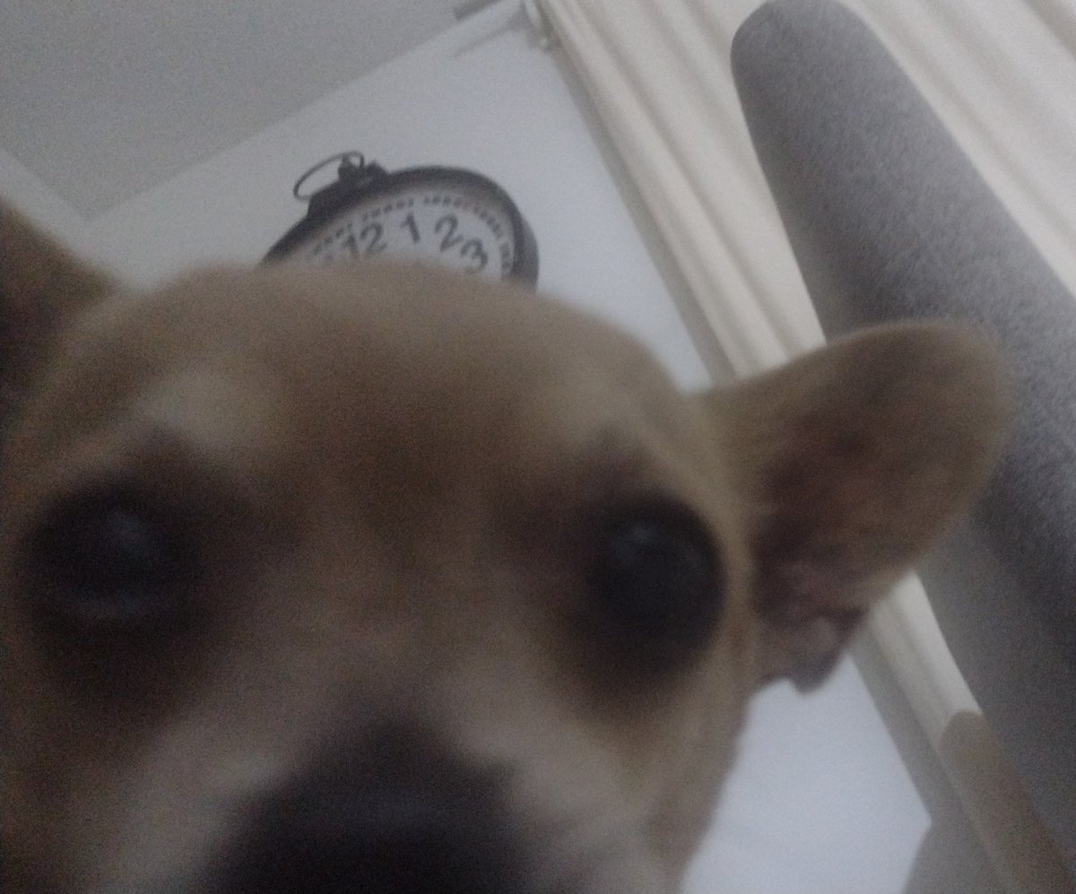 _dumbdvderasmus's tweet photo. solo qiero ser Tito y valer vrga kda puto día de mi existncia https://t.co/g7W81doCOi