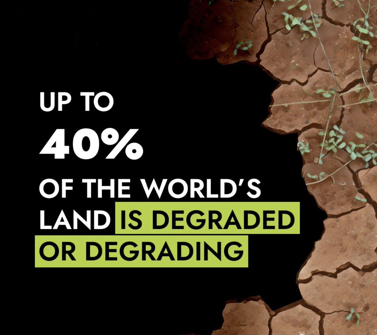 EnyonamManye's tweet image. Land degradation is one of the biggest threats to the livelihoods and food security of smallholder farmers around the world.

It's time to #RestoreOurEarth.
