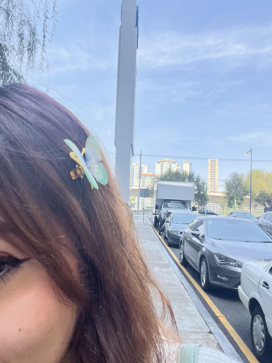 humbesversion's tweet photo. TRAE UNA DE MIS MARIPOSAASS 
te quiero mucho humbe 😭💓 https://t.co/GdYDB1mZTk