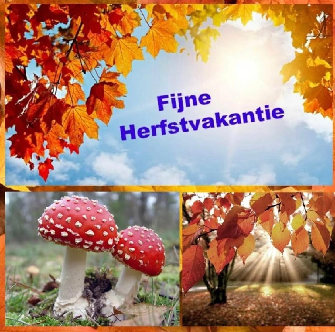 dansstudio's tweet photo. Wij wensen iedereen een hele prettige herfstvakantie! 🍁🍂 We kijken ernaar uit om jullie over een week weer te zien! Groetjes, Team Jolein. 🙋🏼‍♀️ https://t.co/KbJhExL11I