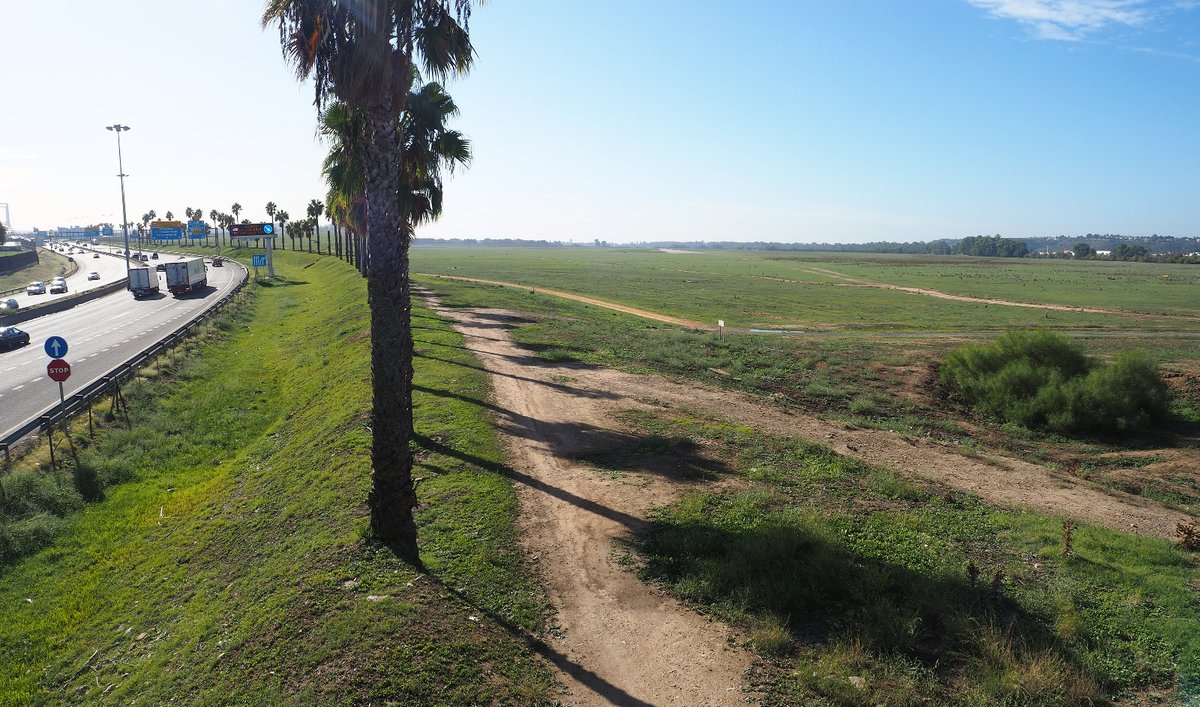 🚶🏻‍♀️👀🌳 Nos hemos reunido mucha gente en la visita a la Dehesa de Tablada guiada por <a href="/curroonate/">curro oñate</a>, de <a href="/RedClima/">Red Sevilla por el Clima</a>, para explicar la importancia de que este gran espacio natural sea protegido e integrado en el Anillo Verde Metropolitano.

Próxima visita 🔜 Isla de Tercia, 28 octubre.