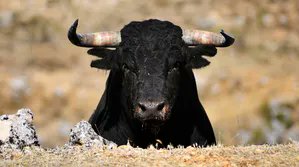 R6Azami's tweet image. JUST IN : BTC ABOVE  30200$ 🐂
BULLS ACCELERATING AND HOPES FOR AN ETF APPROVAL SOON 🇺🇸
31800 NEXT TO FACE THE TRUTH 🎯
 #Bitcoin #ETF #UPTOBER #BUGGATI