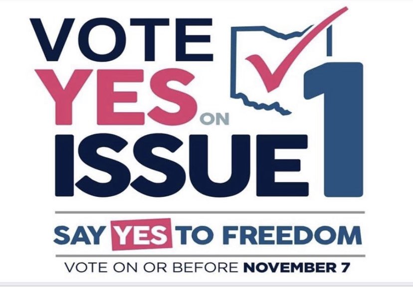 scott4pendleton's tweet image. All Republican christofascists have are lies! The people of Ohio can see right through it!

Remember Ohio:

VOTE YES to support access to abortion, contraception and fertility treatment by enshrining it into the state constitution, protecting it.

#DemVoice1
#ProudBlue