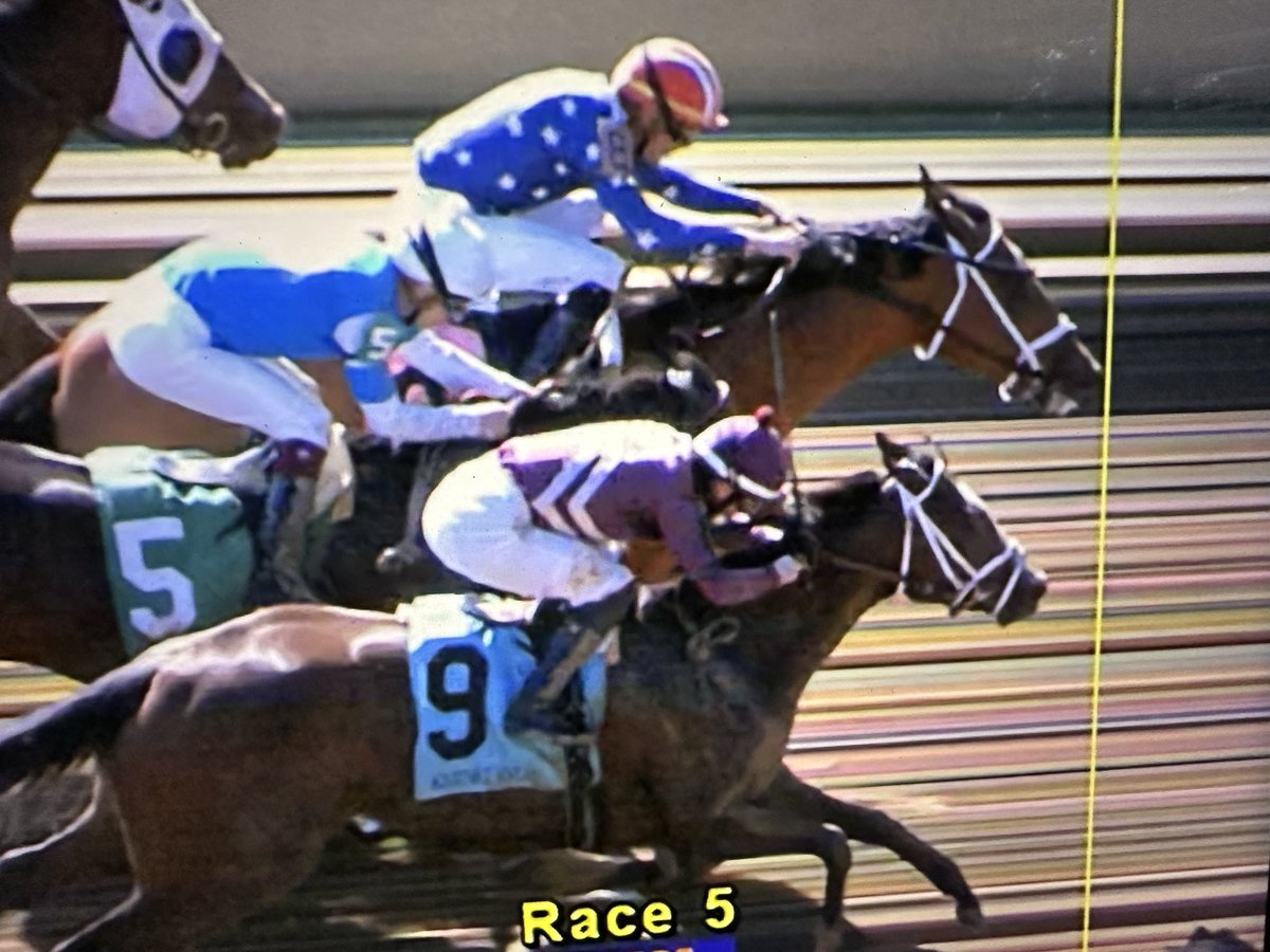 elio imbornone tweet media