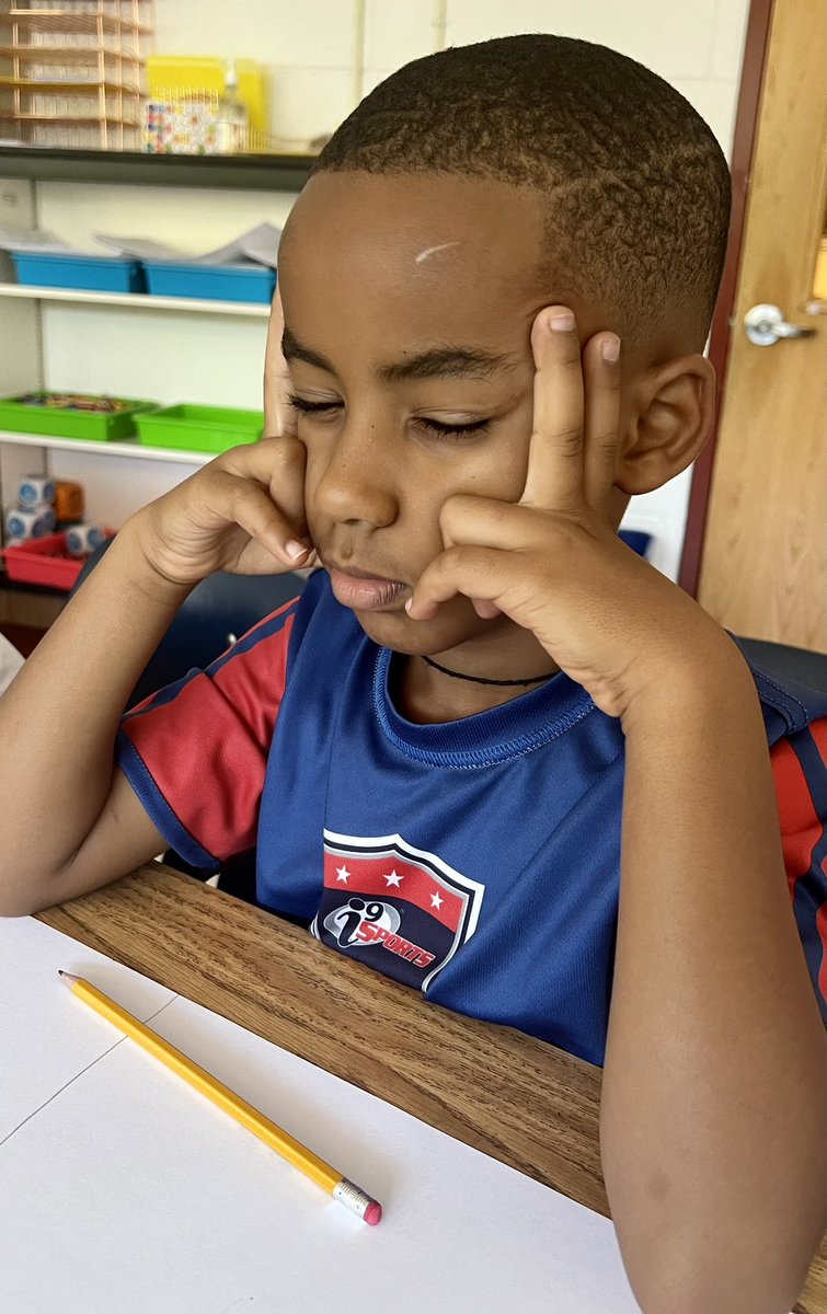 CFESRedBirdsAAP tweet media