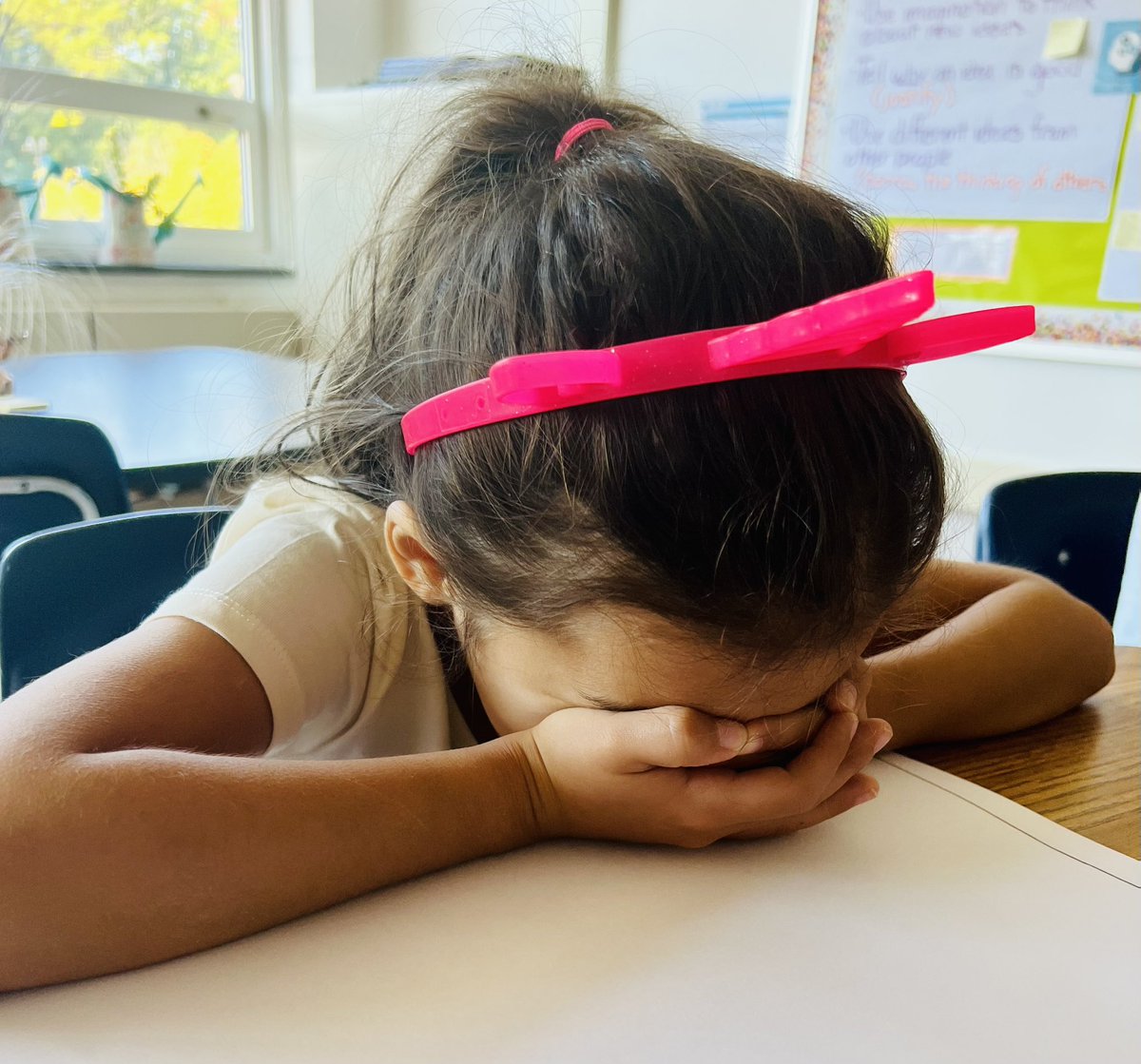 CFESRedBirdsAAP tweet media