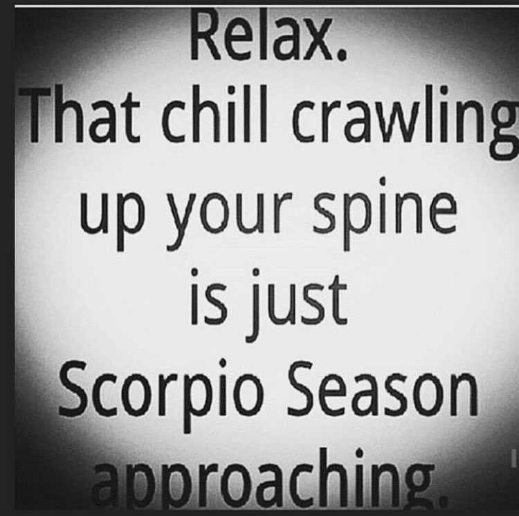 apotheosis369's tweet image. #scorpioseason #scorpioproblems #scorpiolove #scorpiofacts #scorpiolife #scorpiomemes #scorpio #astrology #October2023