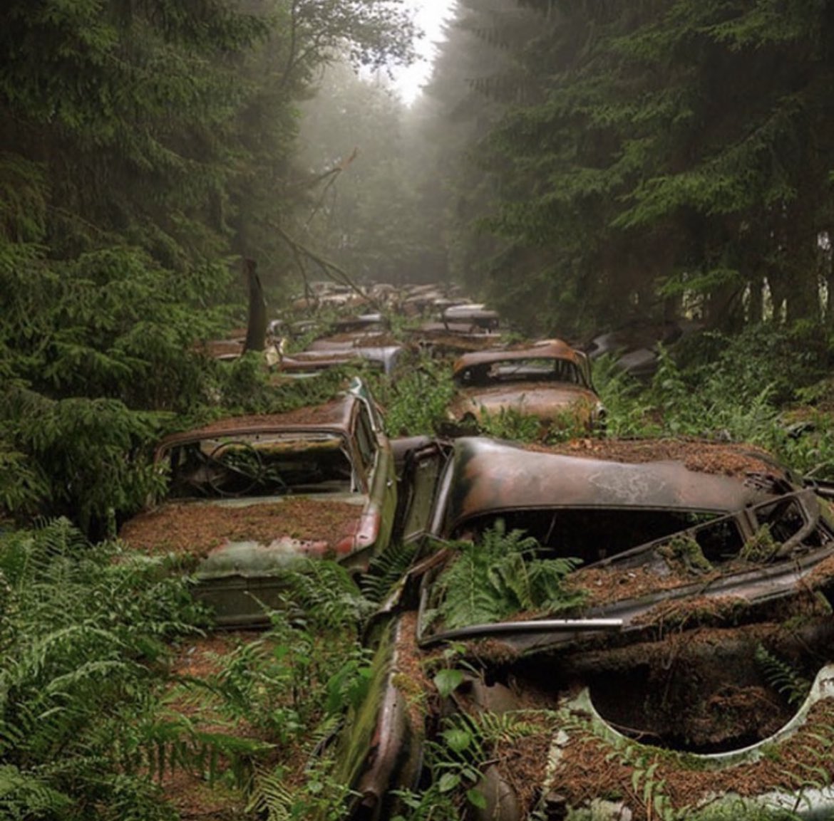 Abandoned traffic jam in a Belgian Forest. This is the Chatillion Car Graveyard, one of the world's largest abandoned car graveyards, left untouched for over 60 years.

A fun urban legend sprang up through the years that the cars were left behind by US soldiers from the Second