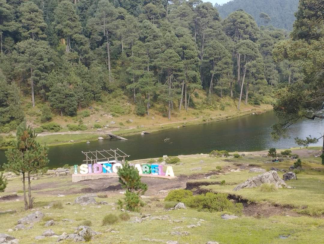 interteban's tweet photo. Solos somos fuertes... Juntos somos más fuertes.
Excelente equipo #Delmacista en el #Distrito4 con mis amig@s de #IsidroFabela #Jilotzingo #Lerma #Ocoyoacac #Xonacatlan agradezco siempre su esfuerzo, confianza y recibirme en sus Municipios. Aquí tienen a un amigo.
Bendiciones 🙏 https://t.co/XOppk6fztr