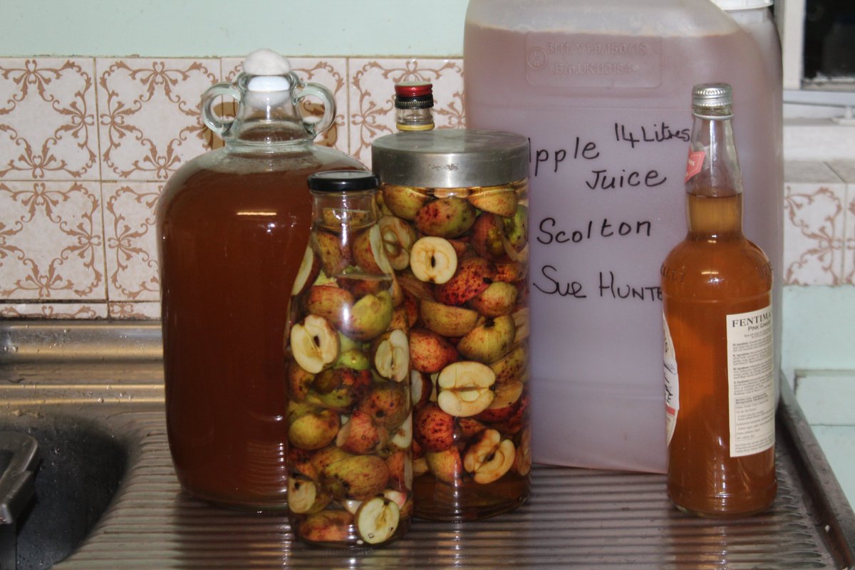 emlynevan's tweet photo. More apple and pear pressing today #ScoltonManor Pembrokeshire π΄σ §σ ’σ ·σ ¬σ ³σ Ώ#applejuicing #PearJuice #Perry #AppleJuice #Cider #CrabAppleLiqeuer #AppleDay #AppleWeekend πππππππ»πΎπΎhttps://t.co/HSppRfZYGJ https://t.co/koM0WKrC16