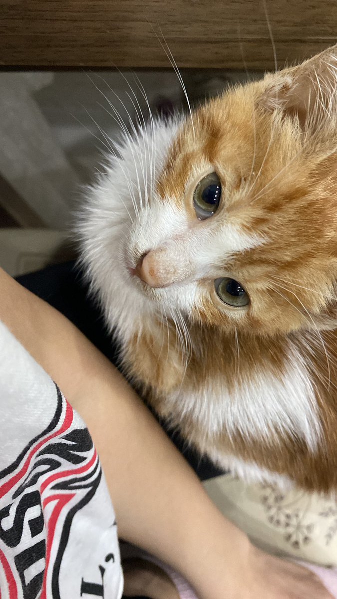 Oğlumun güzelliğine bakın 🖤🤍