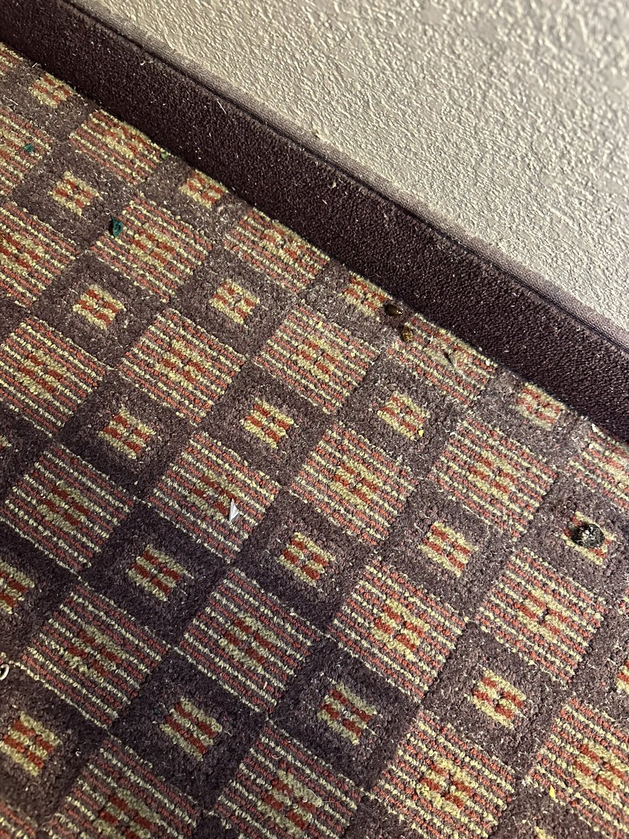 ChrisJCox21's tweet photo. @British_Airways the Rosen Inn International (Florida) should never be included as a recommended hotel! 
Live/dead cockroaches found in our room. When we mentioned it to the hotel the dead cockroaches were not removed.
Didn’t know we would be paying for insects to stay with us. https://t.co/Js7ehRv0M8