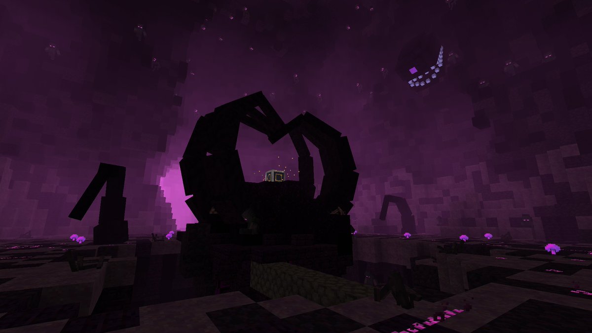 Nova Wostra tweet media