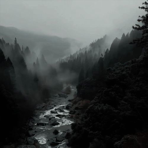 gIoomyweather's tweet photo. sound of the rain. https://t.co/mQAoaITF3u