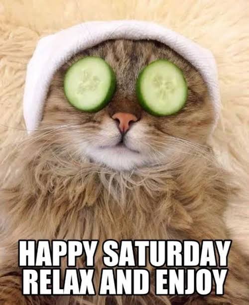 blackfort's tweet photo. Hey #Blackfort Community!

Today our social media manager deeply relate with this meme😂 

How was your weekend?
Comment below👇🏼 https://t.co/tsMnJzDsXH