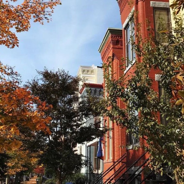 Trusty's (@trustysdc) on Twitter photo Friends, its a Great Fall Day in the Neighborhood! Nice time to come by <a href="/TrustysDC/">Trusty's</a> & <a href="/SchoolBusRocks/">TrustysLiveDC</a> to watch College Football or MLB Playoffs. Eat, Drink & Enjoy Your Weekend, Cheers! <a href="/AllianceforDC/">DC Alliance</a> <a href="/BarredinDC/">Barred in DC</a> <a href="/CapitolHillBID/">Capitol Hill BID</a> <a href="/DiningDrunkDC/">DiningDrunkDC</a> <a href="/theHillisHome/">The Hill is Home</a> <a href="/HillRagDC/">HillRag DC</a> <a href="/PoPville/">PoPville</a> Friends, its a Great Fall Day in the Neighborhood! Nice time to come by <a href="/TrustysDC/">Trusty's</a> & <a href="/SchoolBusRocks/">TrustysLiveDC</a> to watch College Football or MLB Playoffs. Eat, Drink & Enjoy Your Weekend, Cheers! <a href="/AllianceforDC/">DC Alliance</a> <a href="/BarredinDC/">Barred in DC</a> <a href="/CapitolHillBID/">Capitol Hill BID</a> <a href="/DiningDrunkDC/">DiningDrunkDC</a> <a href="/theHillisHome/">The Hill is Home</a> <a href="/HillRagDC/">HillRag DC</a> <a href="/PoPville/">PoPville</a>