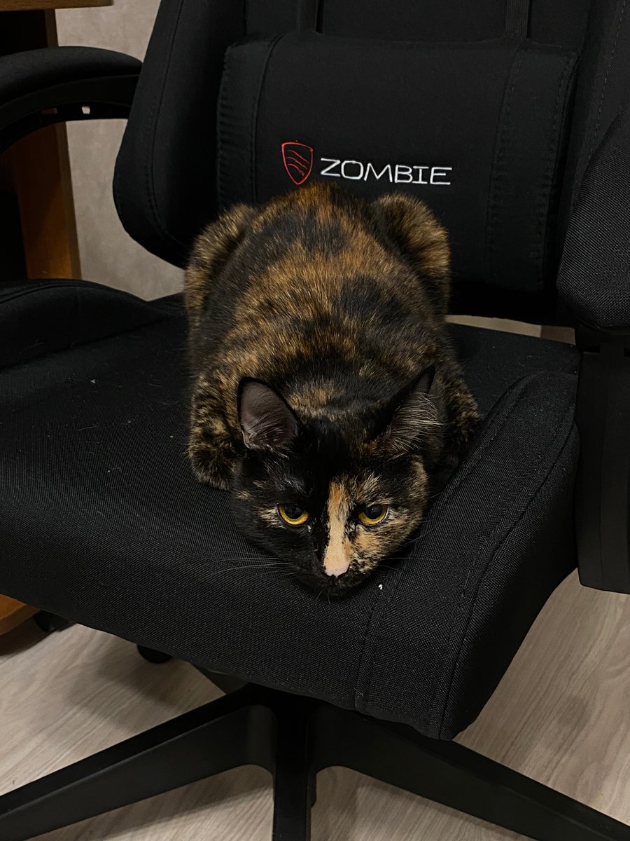 na_tci's tweet photo. The best employee https://t.co/24iyuhiAnd