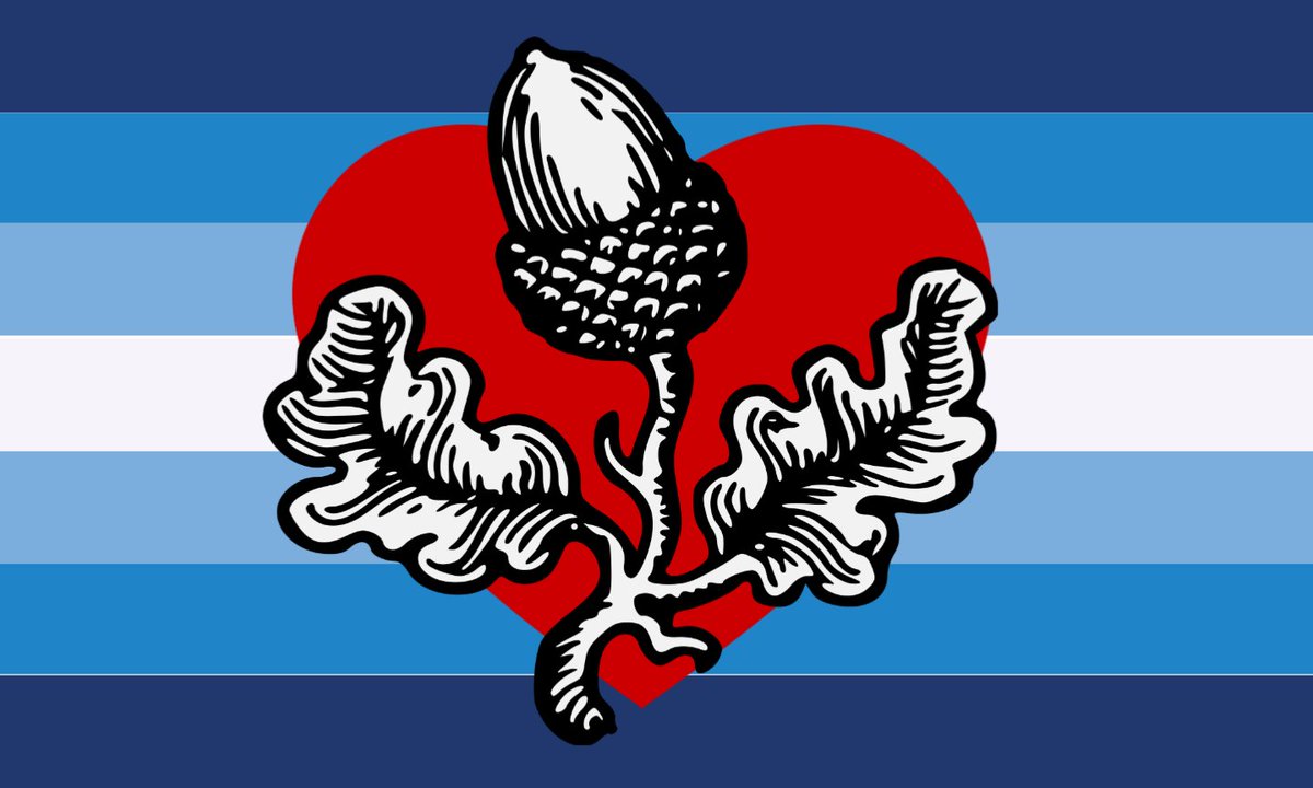kopaszmakkos's tweet photo. This is the CIRCUMSEXUAL pride flag. If you are gay for cut cock, retweet it! https://t.co/XHJkat13Gc