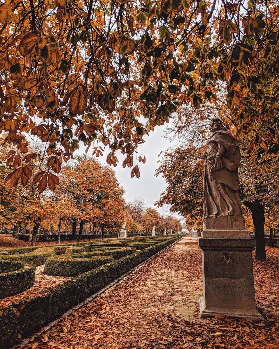 El Parque del Retiro en otoño es sencillamente espectacular.

📷 <a href="/Guigurui/">Guido Gutiérrez Ruiz</a>