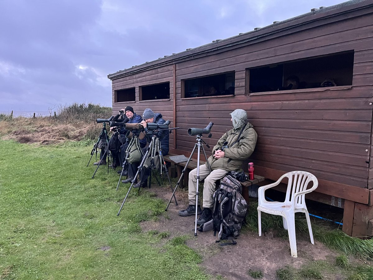 Top drawer birding day - Spurn delivers. Rough-legged buzzard, SEO, Hen harrier, Osprey, Red-flanked Bluetail, Ring Ouzel, American Wigeon, Velvet Scoter, woodcock 1000s winter thrushes With <a href="/PringleBirder/">Matt Pringle</a> <a href="/wiltsbirder/">Malcolm Royal</a> <a href="/RichardRbw/">Richard Williams</a> thanks to <a href="/spurnbirdobs/">Spurn Bird Observatory</a>