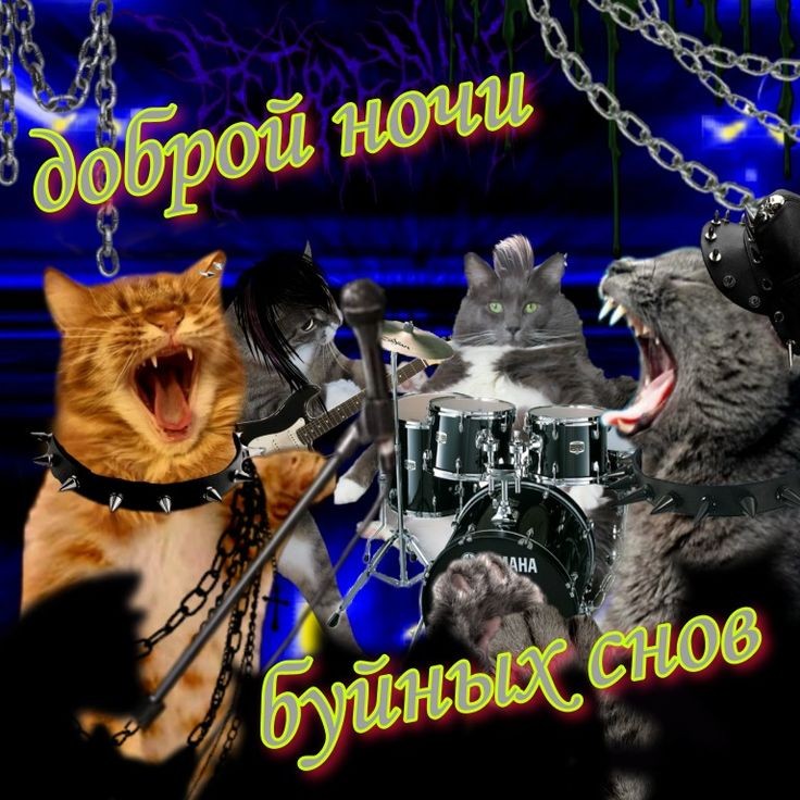 всем спкнч