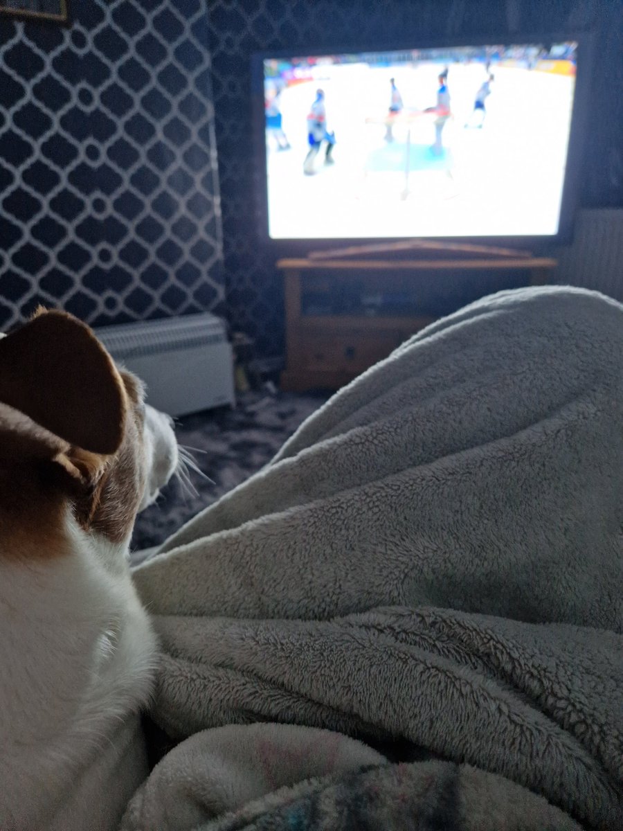 #clantvlive mylo the jack Russell enjoying the game tonight