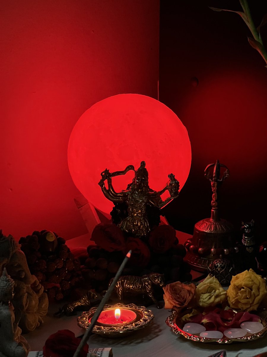 rose 𖤐 tweet media