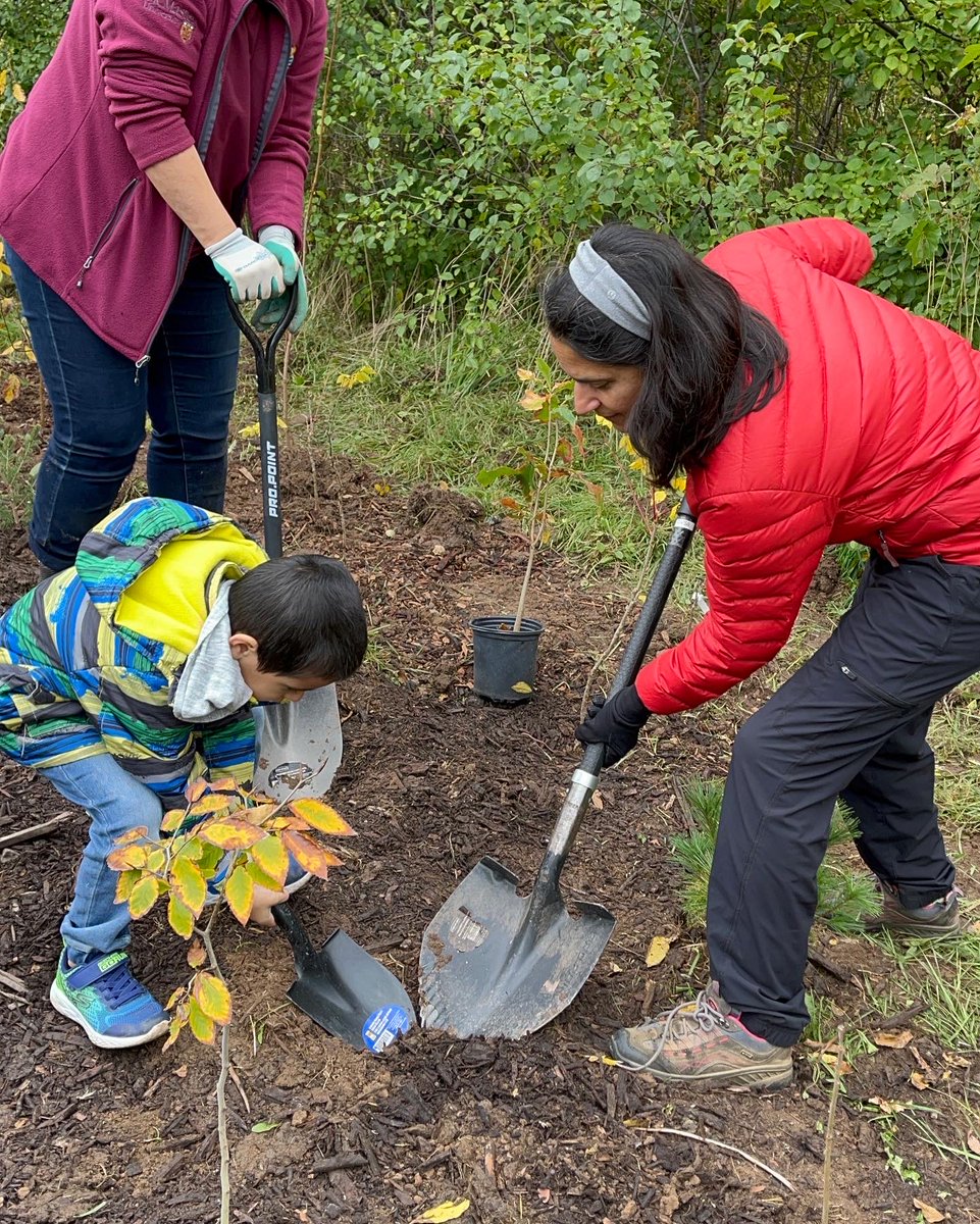 scorehamilton tweet media