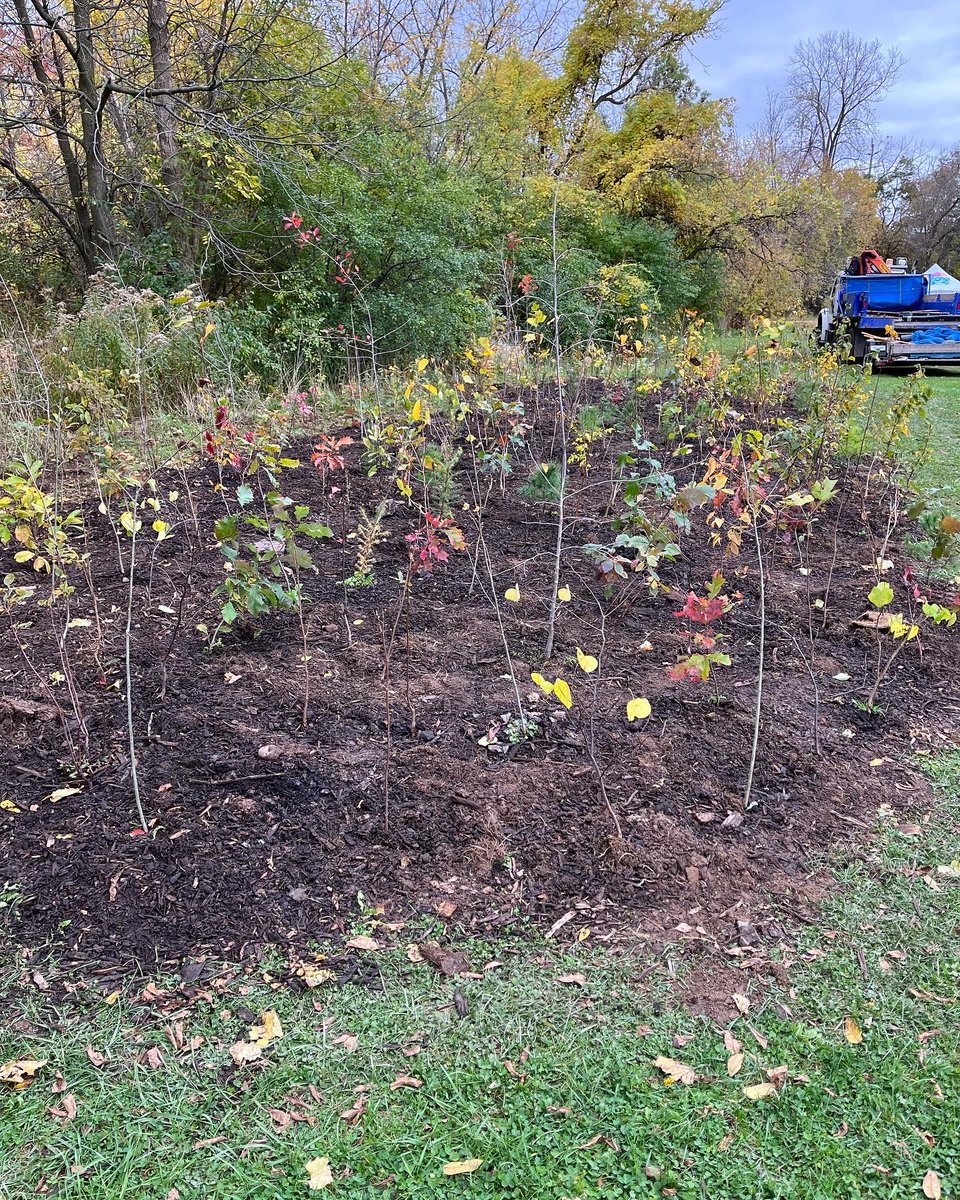 scorehamilton tweet media