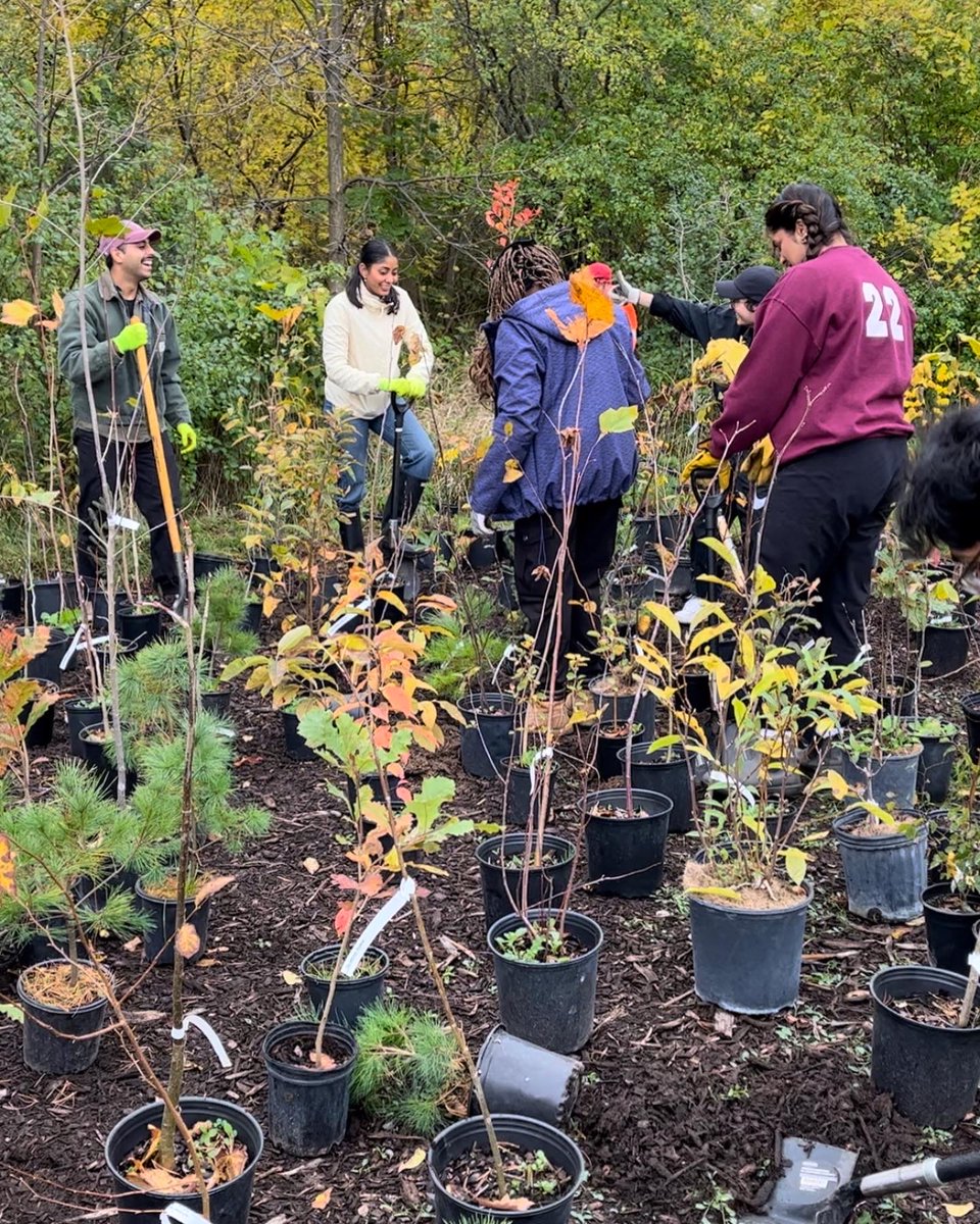 scorehamilton tweet media