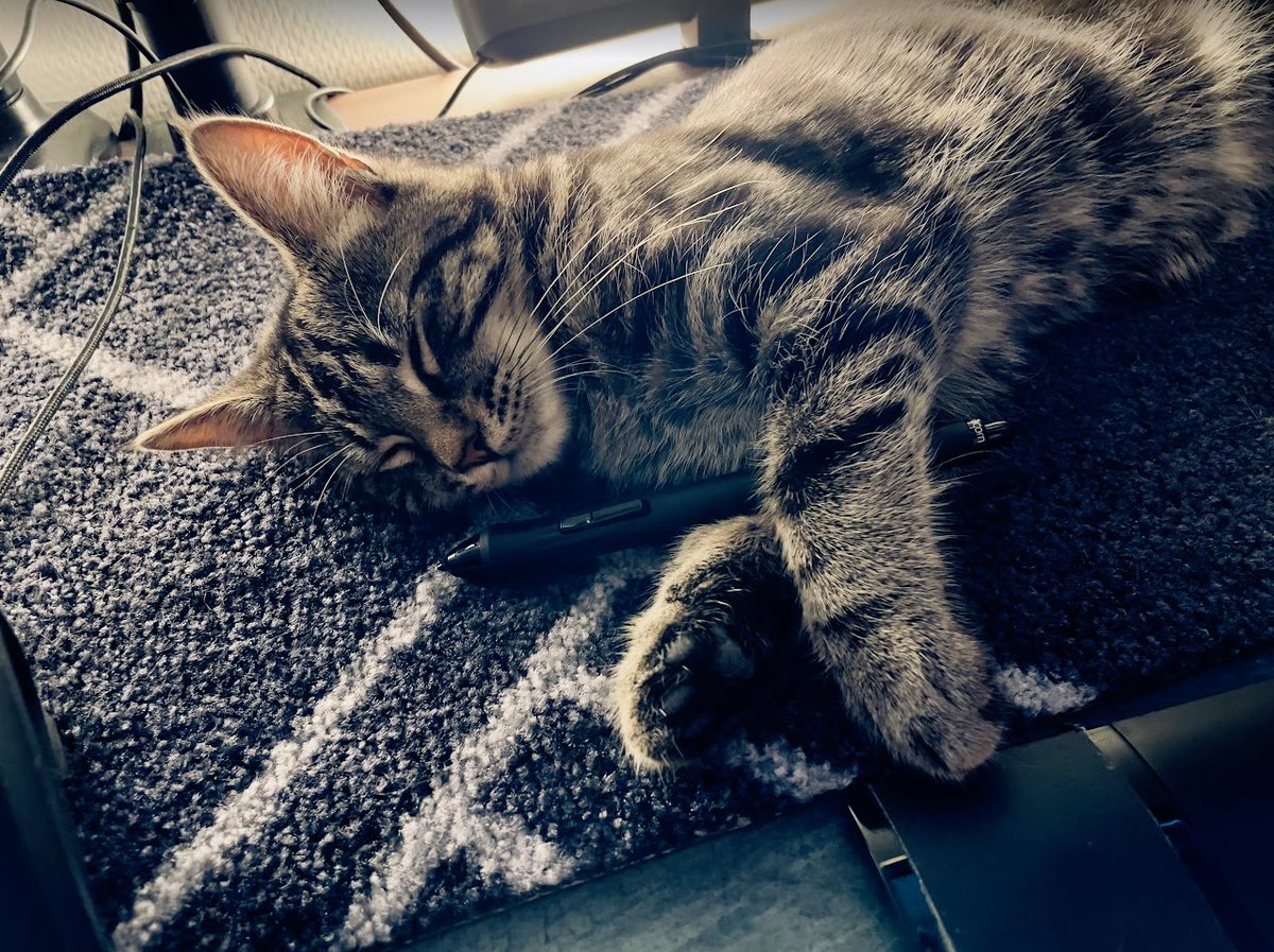 Meet Egon, my new art director. So far, when he isn't running around all over the studio acting like he owns the place, he mostly takes naps, and has a nasty habit of licking his own butthole. While this is indeed impressive, I'm not sure HR can condone such workplace behaviour.