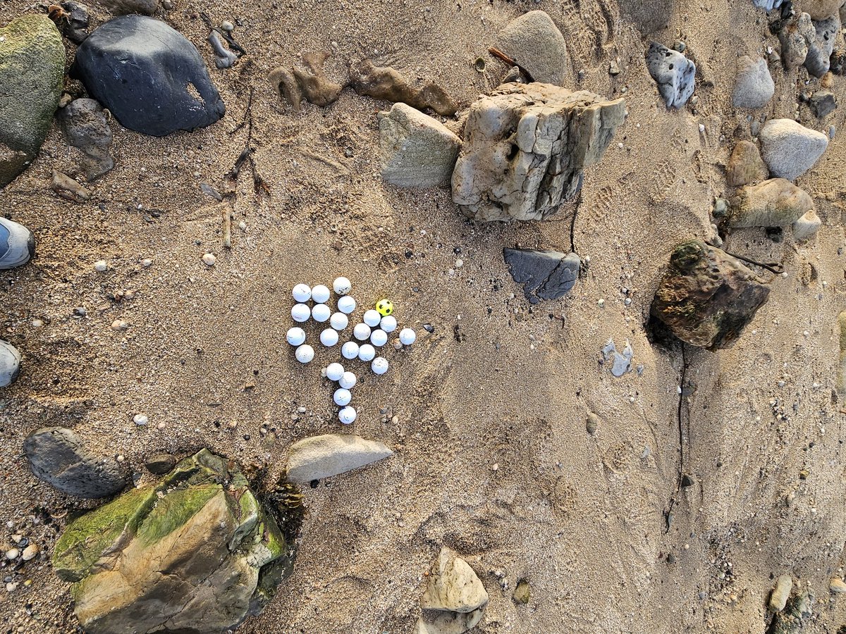 Still big waves <a href="/dunbargolfclub/">Dunbar Golf Club</a> today but a good haul of balls from the side of "The Point" (12th) all found within a 20ft square