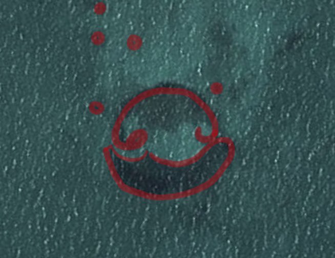 HaloArts.eth💫 tweet media