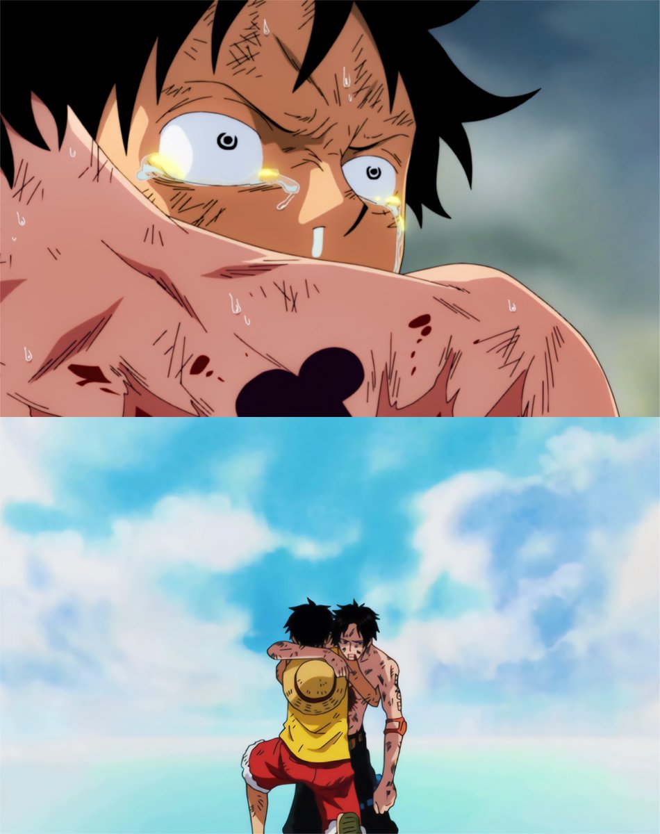 One Piece Daily tweet media