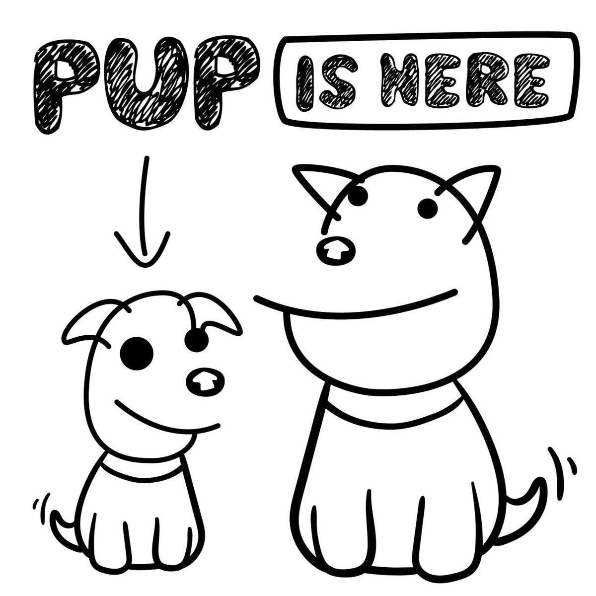 ScottGShore's tweet photo. Launching in less than 2 hours.  

$DOG hit over 1MIL $PUP could do more.  

Dyor. 

https://t.co/7VlXsNQqUf
https://t.co/aXlBBWq16r
https://t.co/uM90VRzLRW https://t.co/KlbUHFMUdq