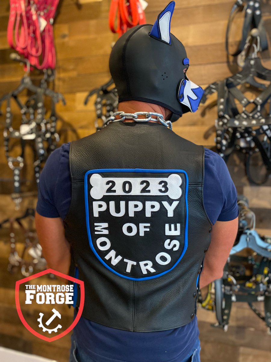 MontroseForge's tweet photo. @PupHarlow looking woofable in the vest and title patch we made him.
Congratulations to our Pup Of Montrose 2023! https://t.co/k6Fj96kV3K