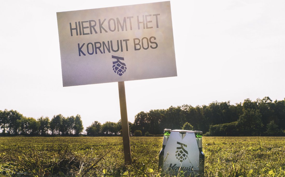 Jochem Paarlberg tweet media