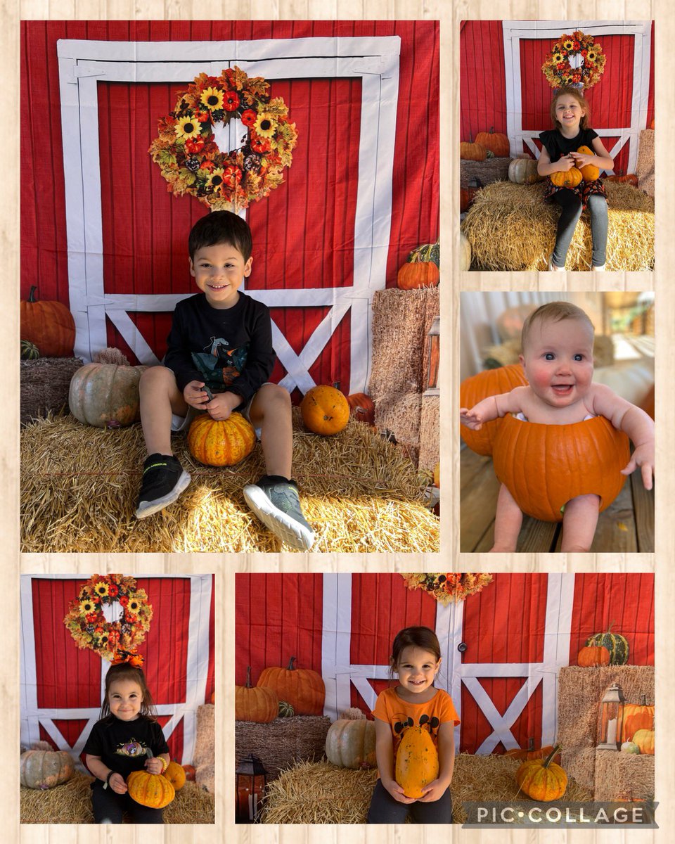 CFISD TELGE ELC tweet media