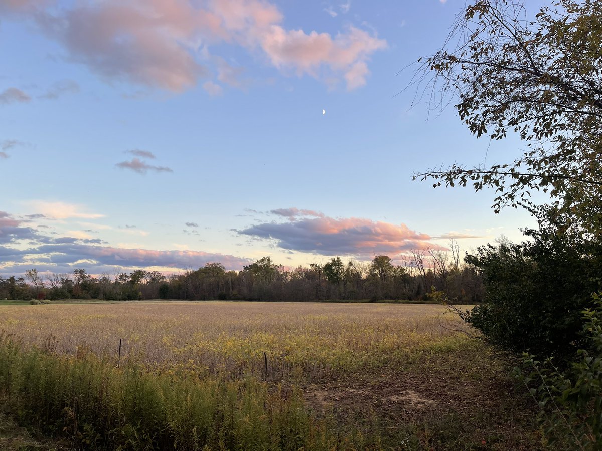 ron_cassie's tweet photo. Fall evening bike ride past the once-upon-a-time homestead at the base of the Catoctin Mountains. Love this time of year. Need to venture further out to Western #Maryland asap. #AmericaInMiniature https://t.co/IurcxUm0jT