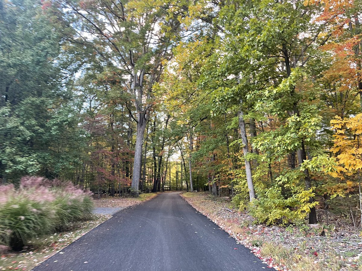 ron_cassie's tweet photo. Fall evening bike ride past the once-upon-a-time homestead at the base of the Catoctin Mountains. Love this time of year. Need to venture further out to Western #Maryland asap. #AmericaInMiniature https://t.co/IurcxUm0jT