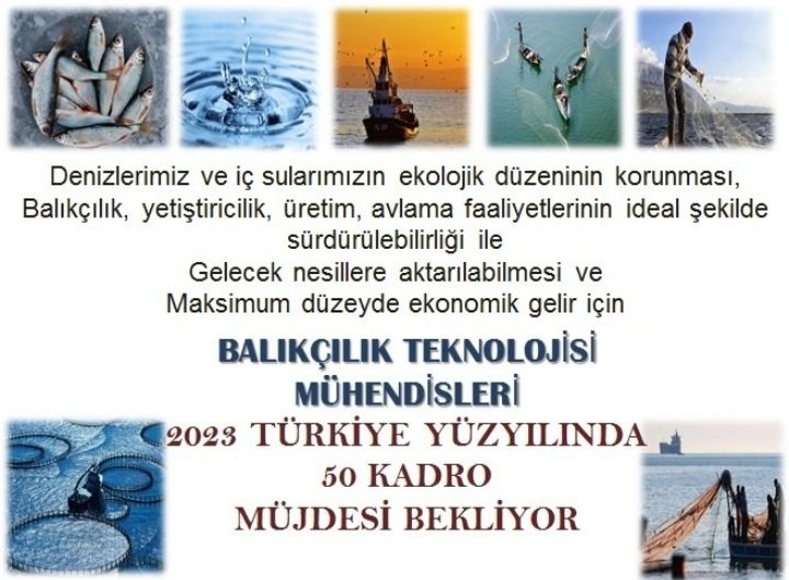 <a href="/ibrahimyumakli/">İbrahim Yumaklı</a> <a href="/osmannnurika/">Osman Nuri Kabaktepe</a> Sayin Bakanım tarim bakanlığına #Balıkçılık teknolojisi mühendisleri olarak atama bekliyoruz.Mujdelerin biran önce gelmesinistiyoruz@_cevdetyilmaz <a href="/ademdinc_/">Adem Dinç</a> <a href="/CilezHasan/">Hasan ÇİLEZ🇹🇷</a> <a href="/ahmtbgc/">Ahmet Bağcı</a> <a href="/ibrahimyumakli/">İbrahim Yumaklı</a> <a href="/DursunPINAR37/">Dursun PINAR</a> <a href="/hlmdrgn/">Hilmi DURGUN</a> <a href="/YakupOtgoz/">Yakup Otgöz</a> <a href="/VahitKirisci/">Prof.Dr.Vahit Kirişci</a> <a href="/huseyinozturk_1/">Hüseyin ÖZTÜRK 🇹🇷</a> <a href="/RTErdogan/">Recep Tayyip Erdoğan</a> <a href="/bsgmtr/">Balıkçılık ve Su Ürünleri Genel Müdürlüğü</a>