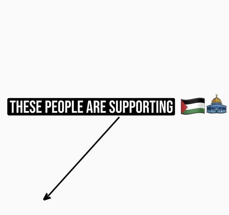 Cool_Ustaz's tweet photo. 🇳🇬🤝🇵🇸 https://t.co/mgFImS6Gay