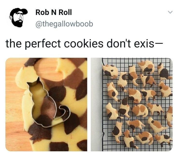 place where car shouldnt be (@carshouldnt) on Twitter photo 