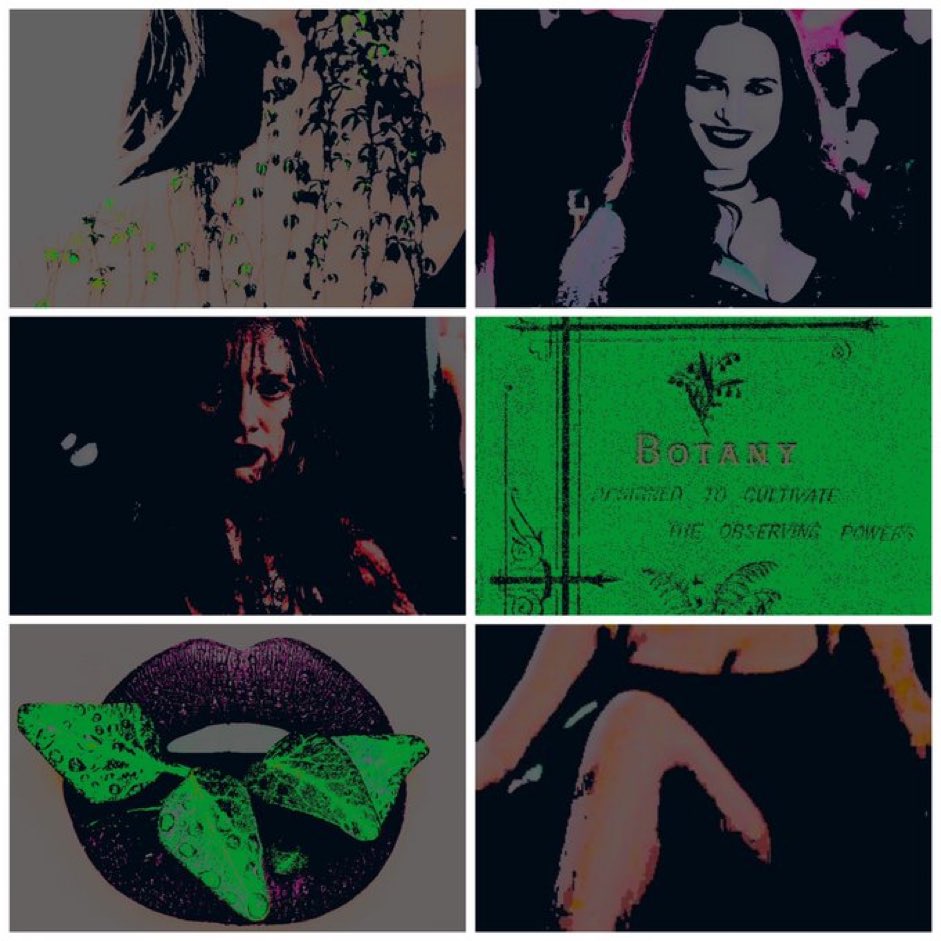 shepoisons's tweet photo. ——--

“   call   me   HBIC.   this   queen   don’t   need   a   king.   this   girl   right   here’s   gonna   rule   the   world.

𝒊   𝒅𝒐𝒏’𝒕   𝒘𝒂𝒏𝒏𝒂   𝒔𝒊𝒕   𝒔𝒕𝒊𝒍𝒍 ,   𝒍𝒐𝒐𝒌   𝒑𝒓𝒆𝒕𝒕𝒚.   ” https://t.co/ug0UORSRcy