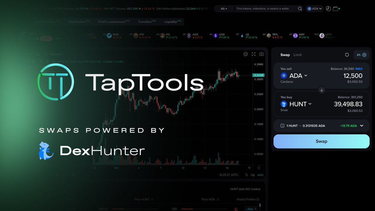 DexHunter 🏹 tweet media