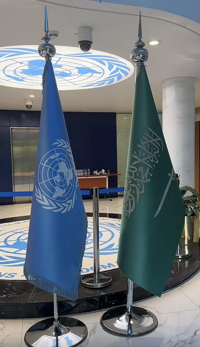manarsart91's tweet photo. I’m pleased to attend the Saudi climate conference of the @UN as a member of the Saudi Youth Climate Network SYCN 🇺🇳 https://t.co/UinrUTb0cn