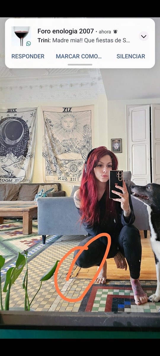 riflovil's tweet photo. @fxckyoumore Es muy bonita la casa, lo único que tienes que intentar unir el encuentro del suelo con la madera con algún tipo de silicona de juntas, la dilatación de la madera te está levantando el magnífico suelo de 100 años https://t.co/E66oL5vC6w